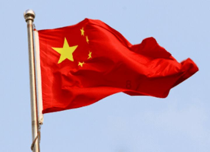 救援淘气的小狗